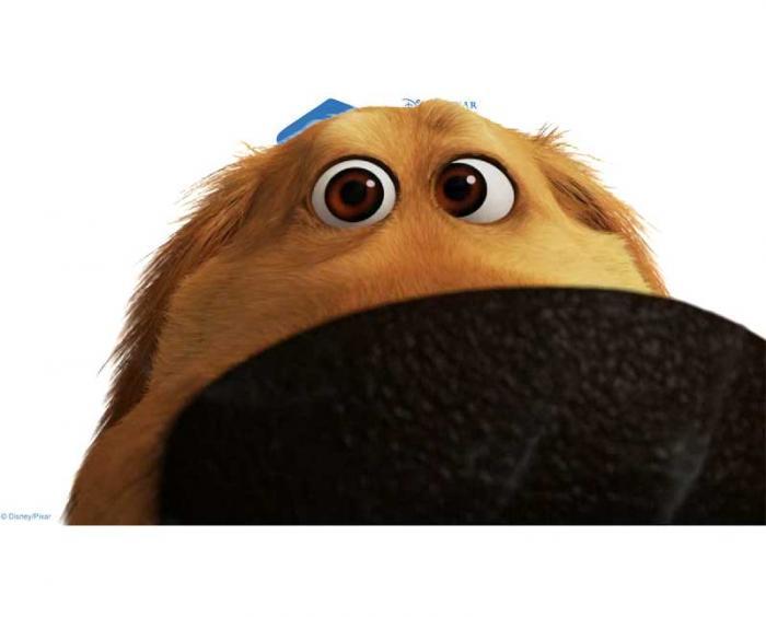 Pixar's Dug Days Trailer Released for Int'l Dog Day