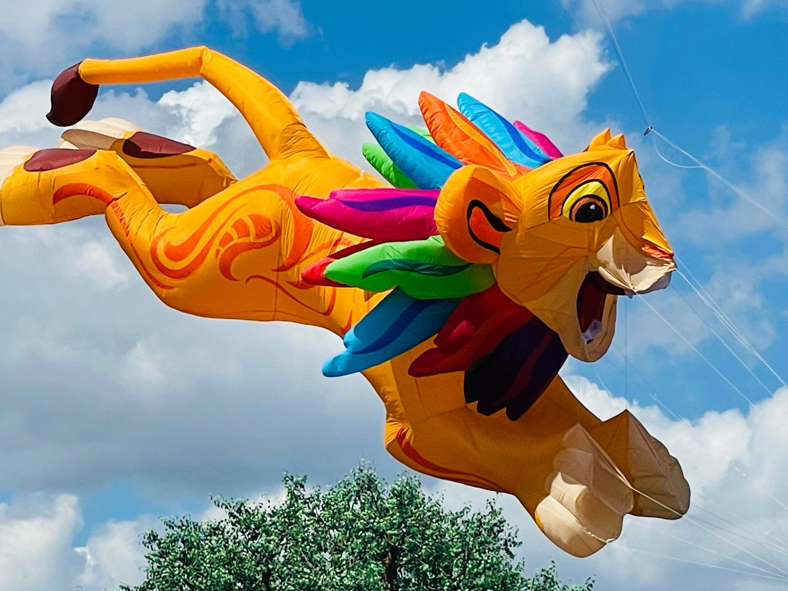 Disney Animal Kingdom KiteTails Popcorn Bucket Sales of SALE items from