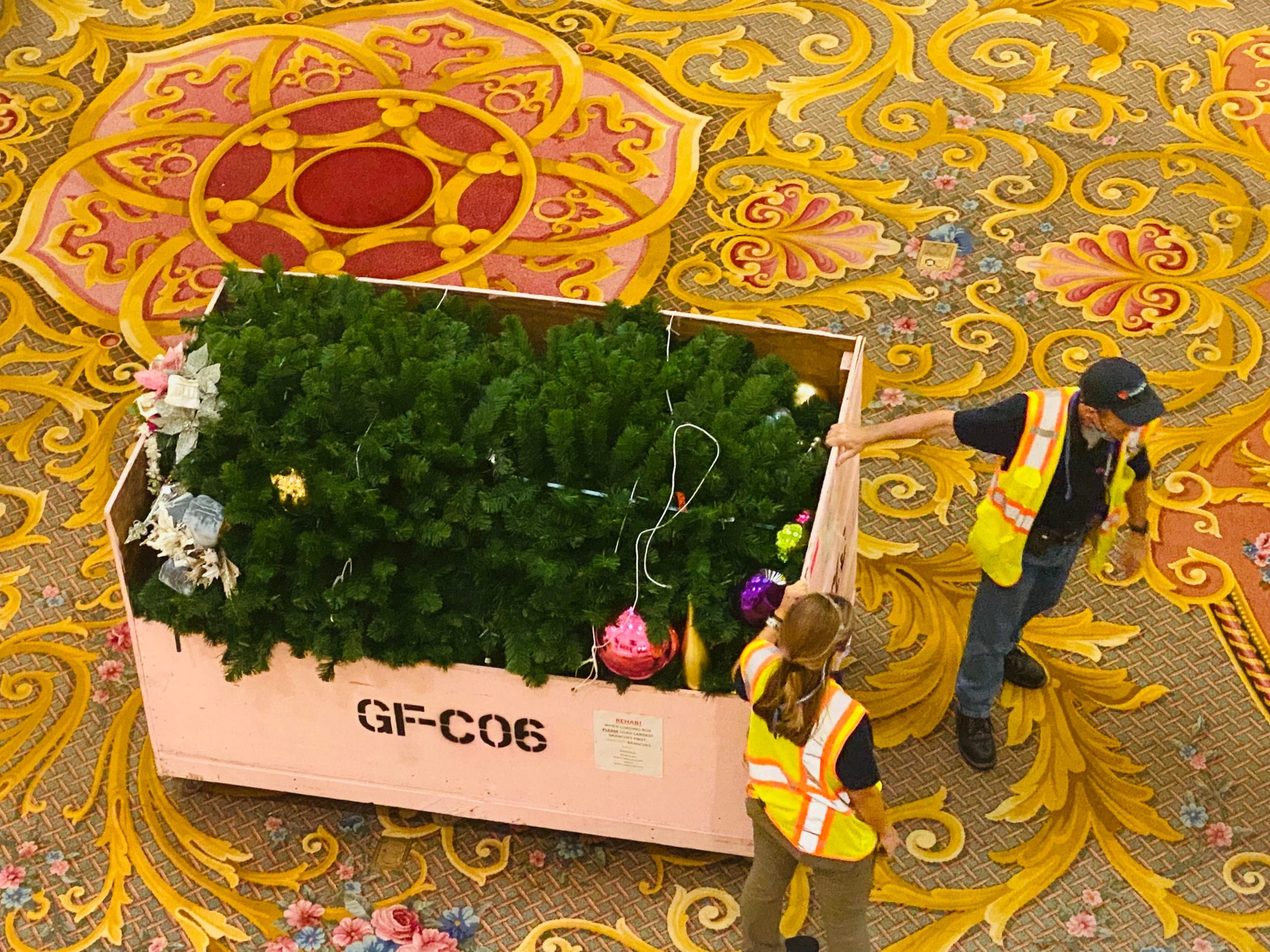 Watch the Grand Floridian Christmas Tree Go Up Overnight!