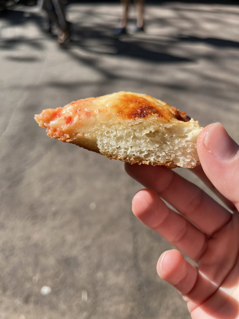 REVIEW Terra Treats Pizza Booth at Animal Kingdom