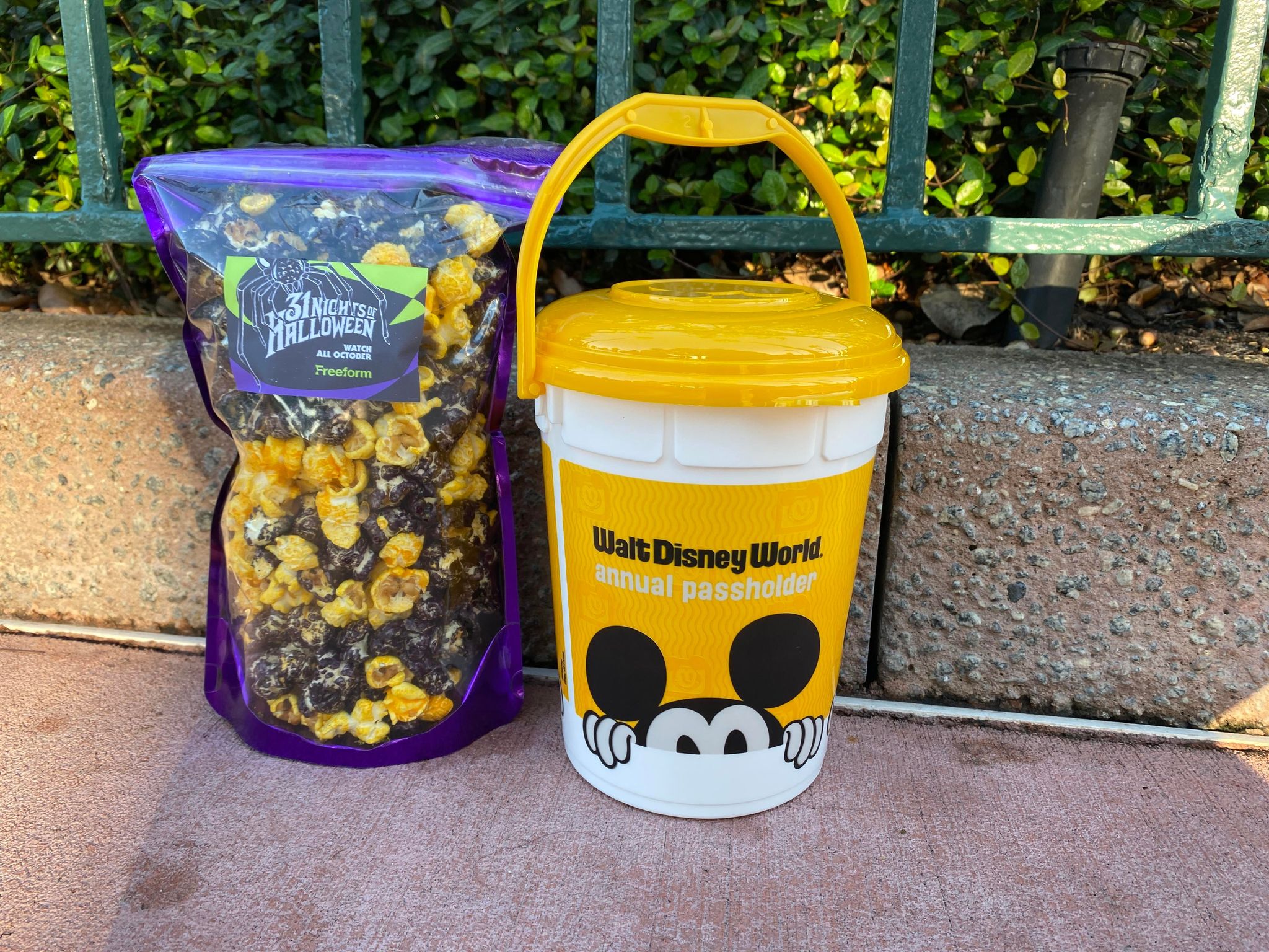 New Annual Passholder Souvenir Popcorn Buckets Out Now at Hollywood