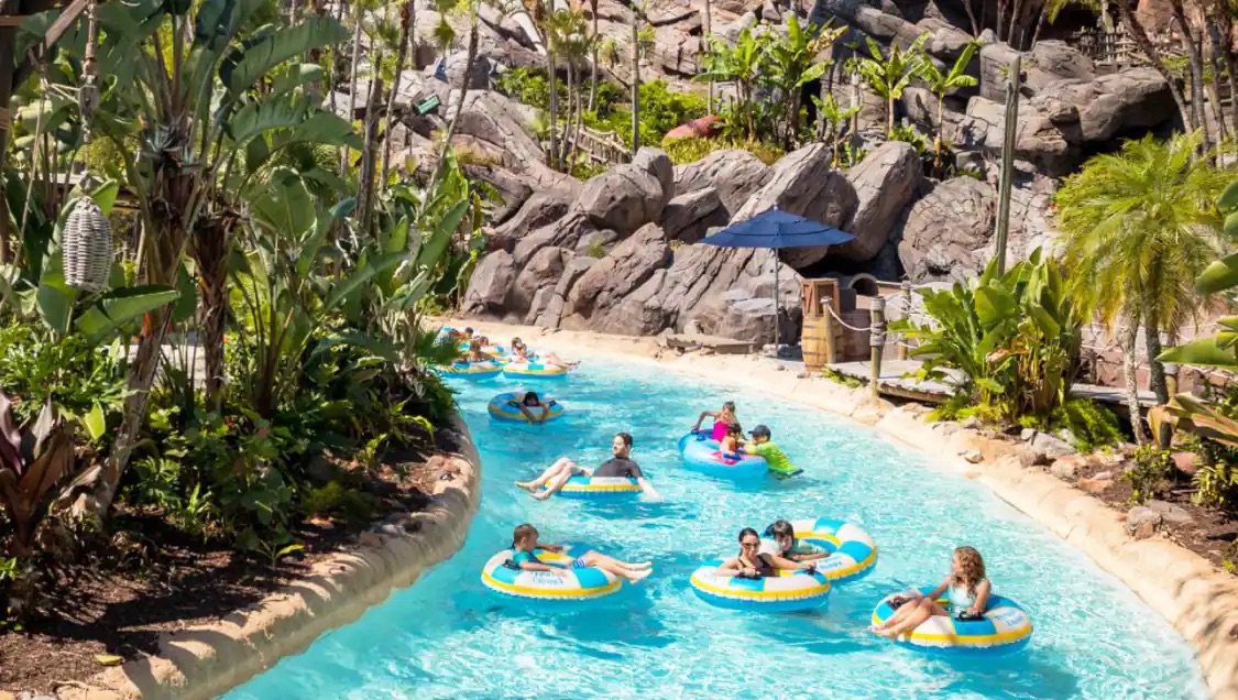 DVC Rental Store vs Davids Rentals Which is Best DVC Rentals?