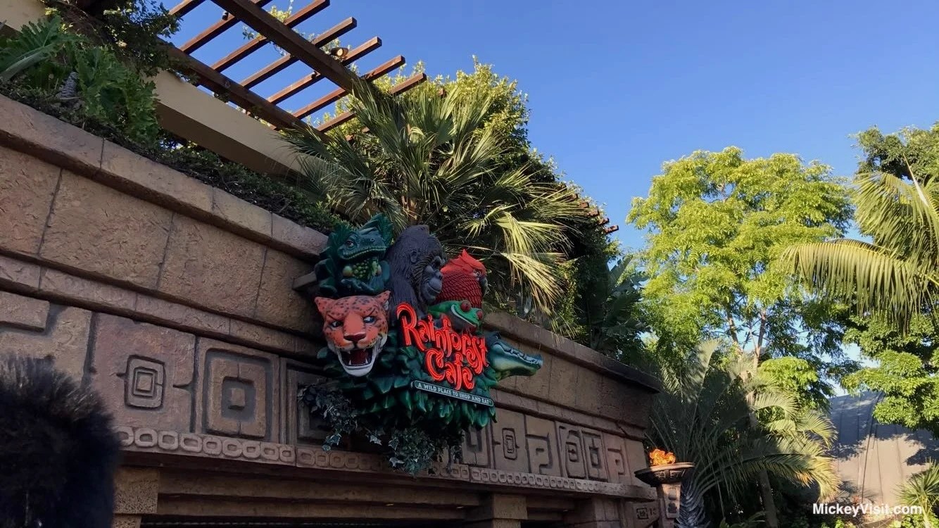 Yes, We Eat at Rainforest Café Every Disney World Trip. Here's Why!