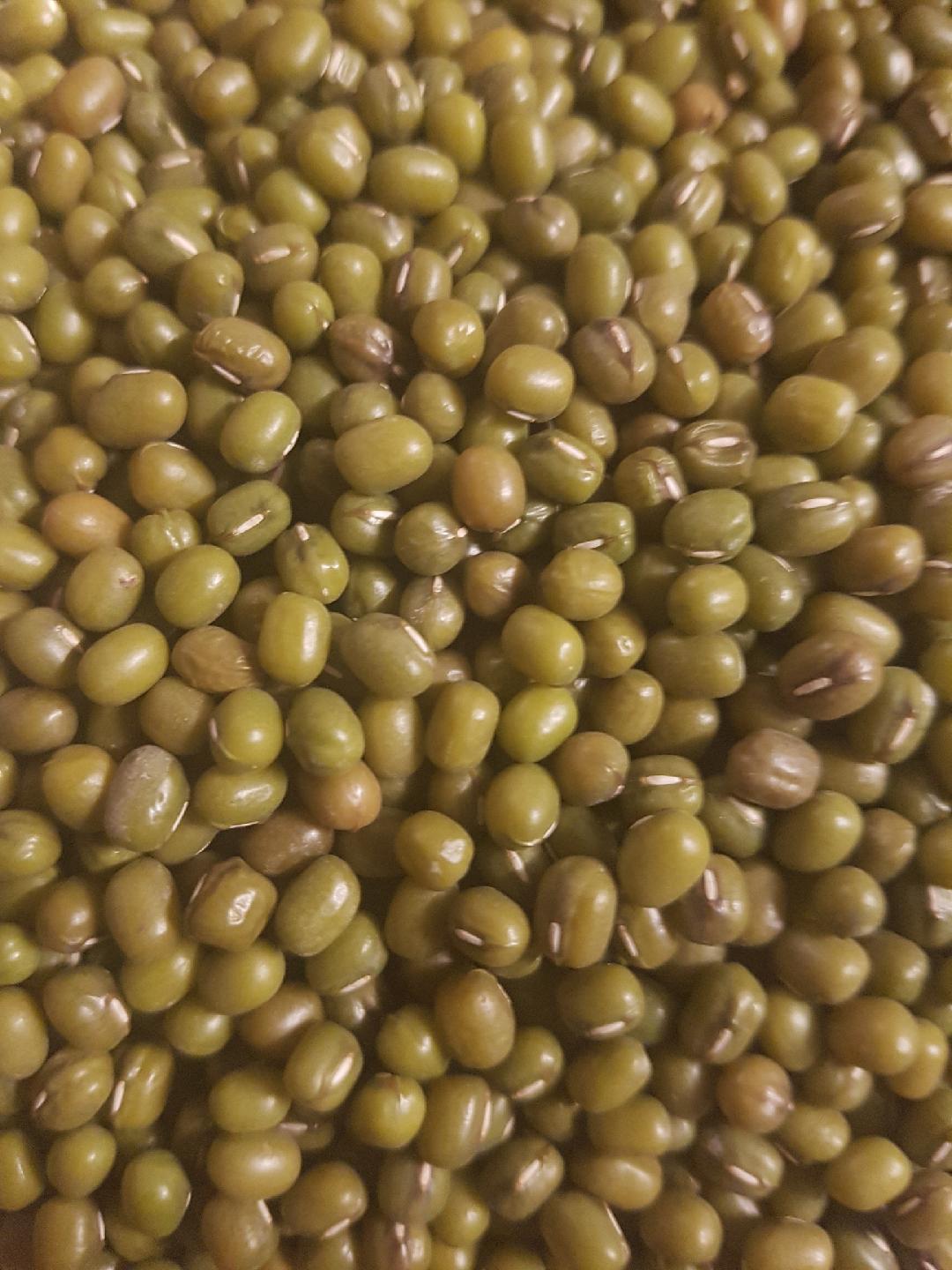 Buy Mung Beans Beans / Legumes Micks Nuts