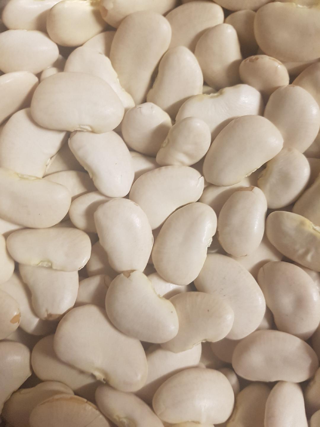 Buy Lima Beans Beans / Legumes Micks Nuts