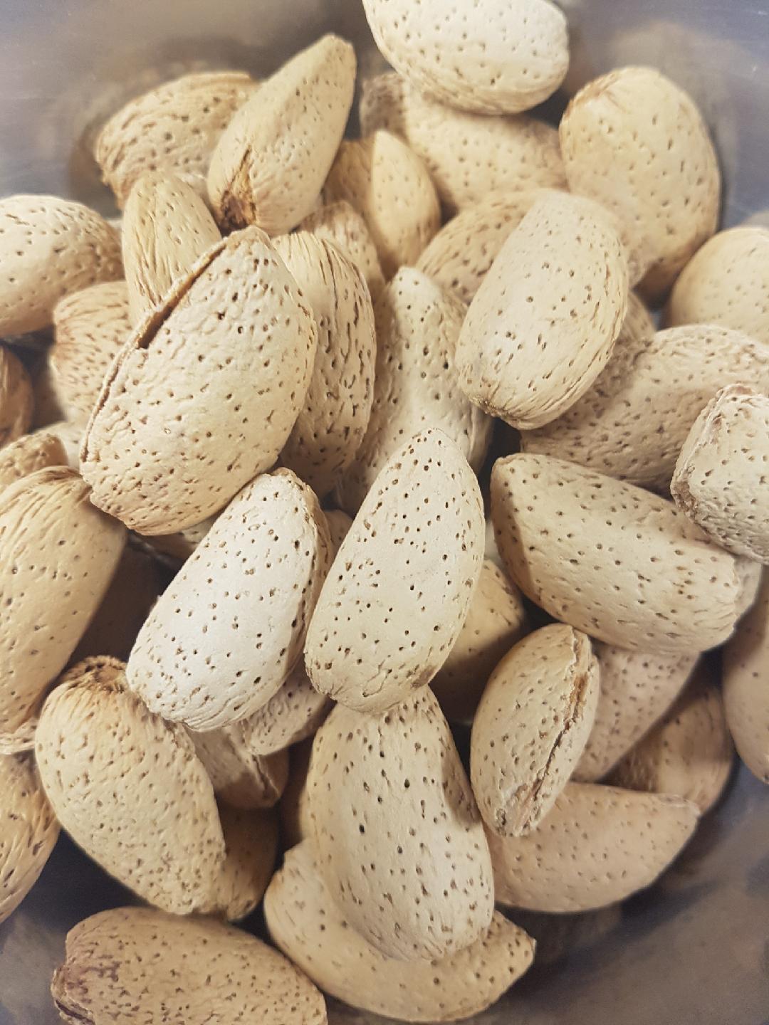 Buy Almonds in Shell Nuts Micks Nuts