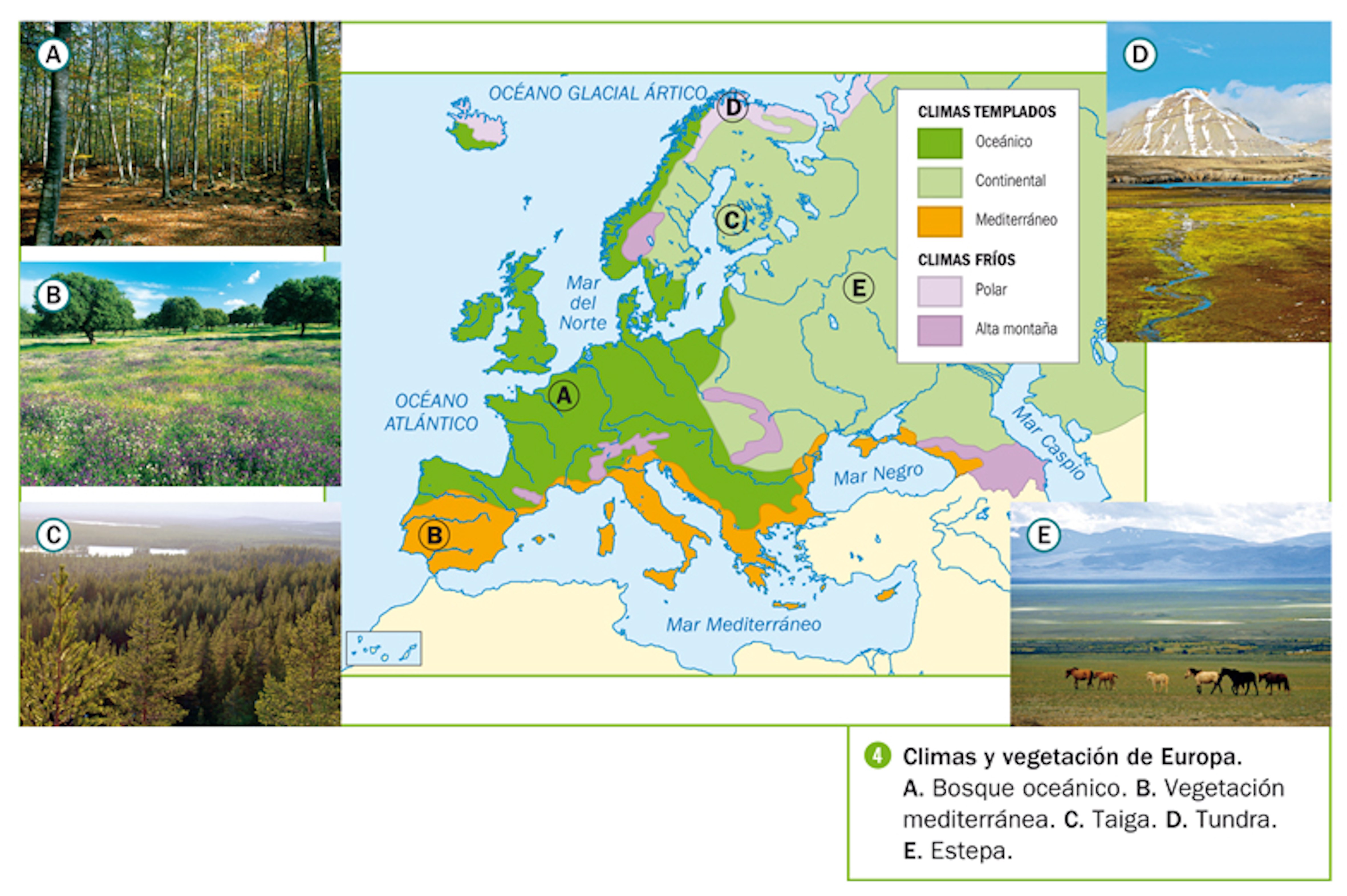 GEOGRAFÍA GEOGRAFÍA EUROPA