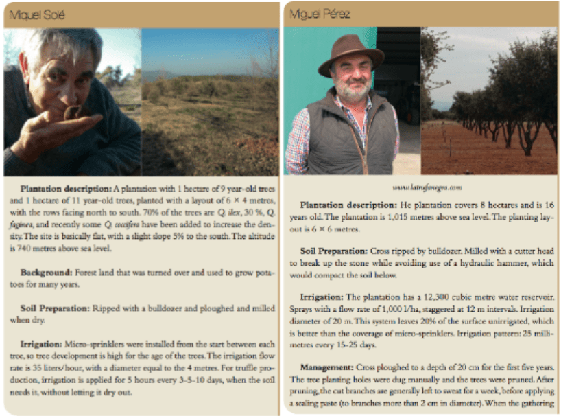 Truffle Farming Today, a Comprehensive World Guide Micofora