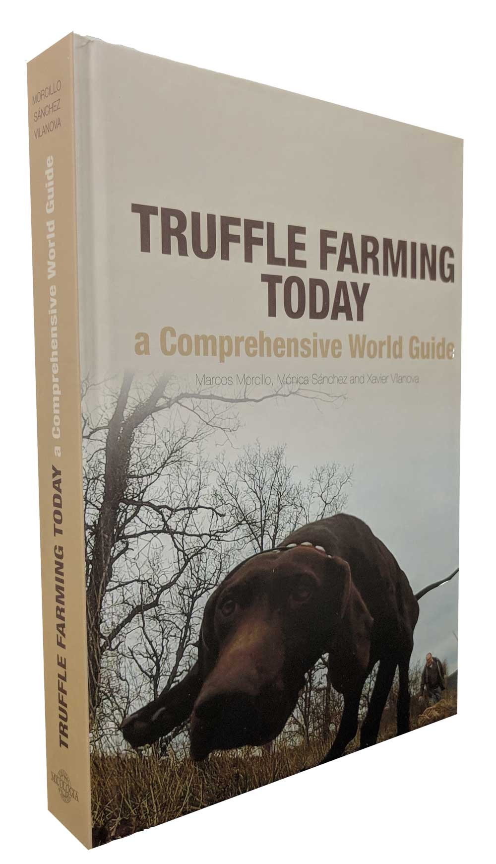 Truffle Farming Today, a Comprehensive World Guide Micofora