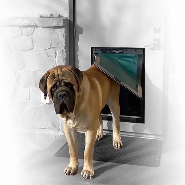 RANGER EnergyEfficient Pet Door Coolest Thing