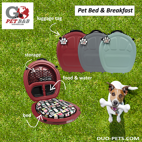 GO PET B&B (BED & BREAKFAST) Coolest Thing