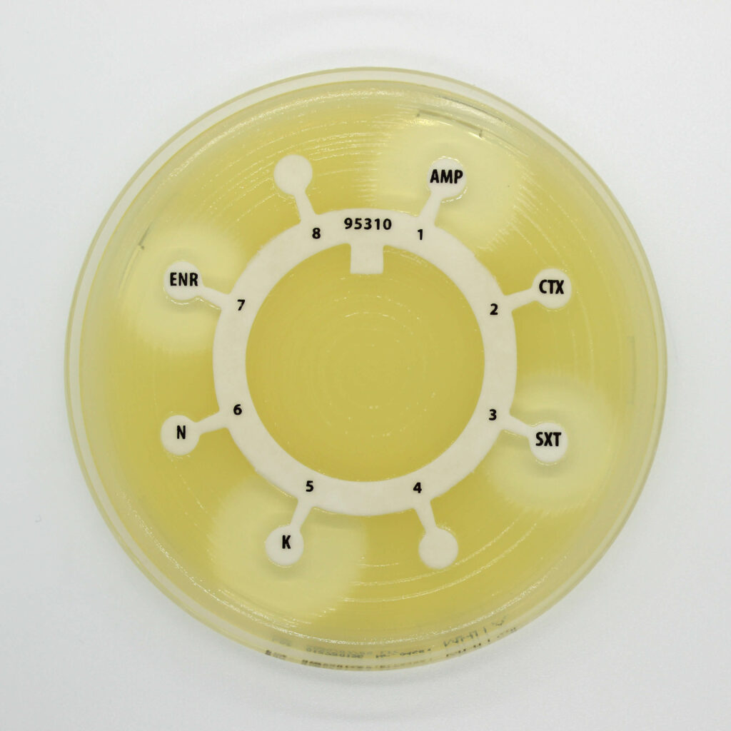 Мультодиски МИКРОЛАБ