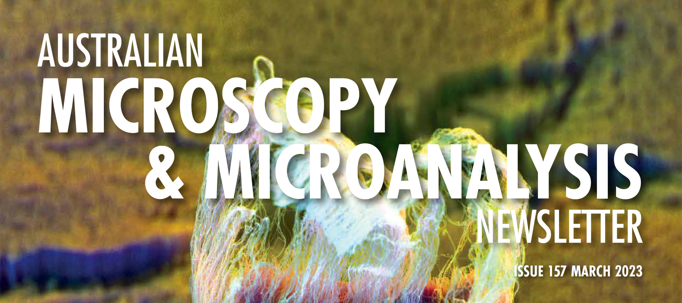 Microscopy Australia ACMM27 Image Competition Microscopy Australia