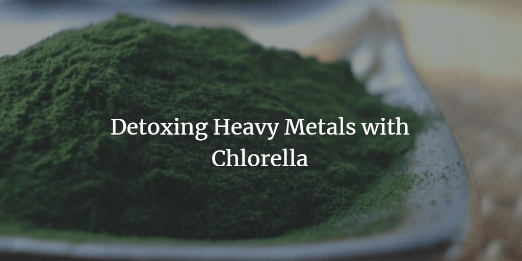How Does Chlorella Help With Heavy Metal Detoxification? Microalgae