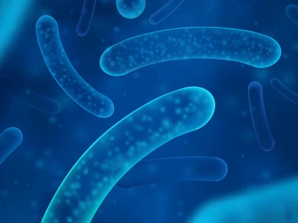 Antibacterial Strains Swiss AntiBacterial & AntiViral Testing