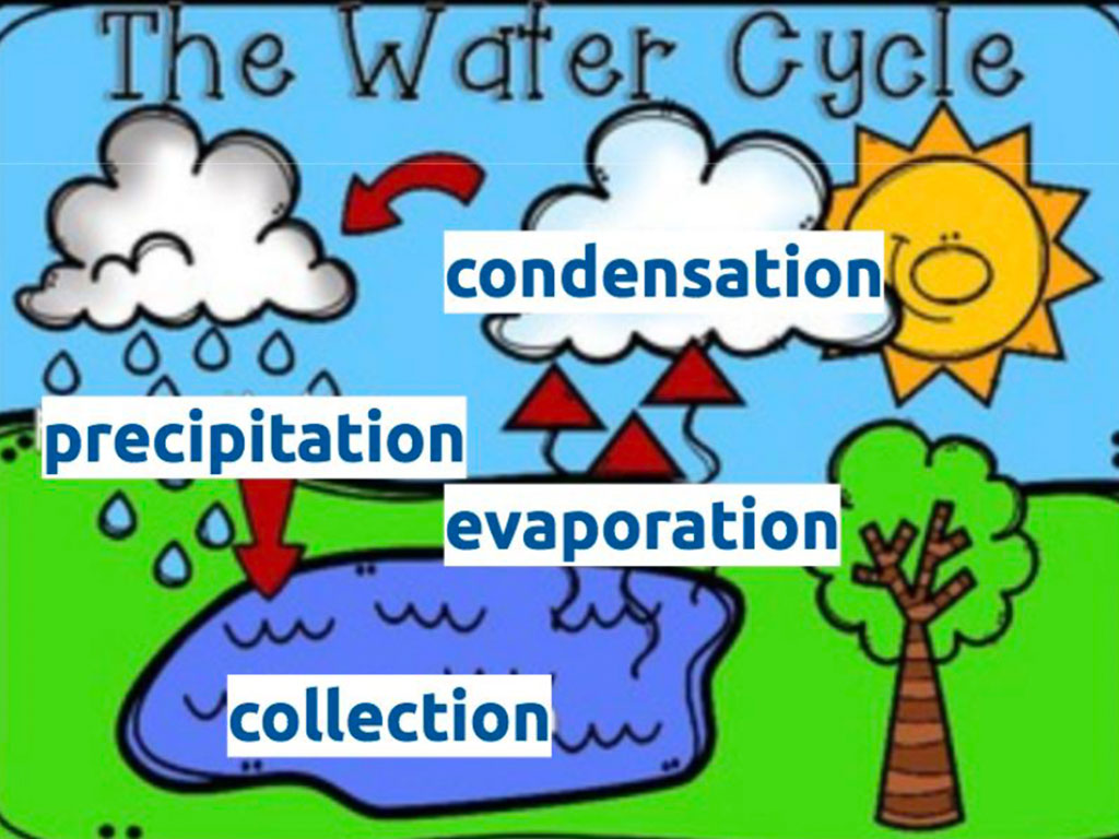 The Water Cycle Activity - MI Kids | Microbial Insights