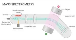 Mass Spectrometry Explained: Principle, Steps & Uses