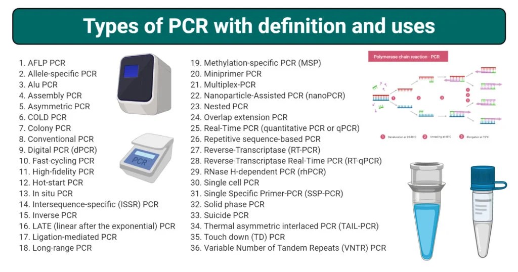 Types of PCR (Polymerase chain reaction) definition and uses
