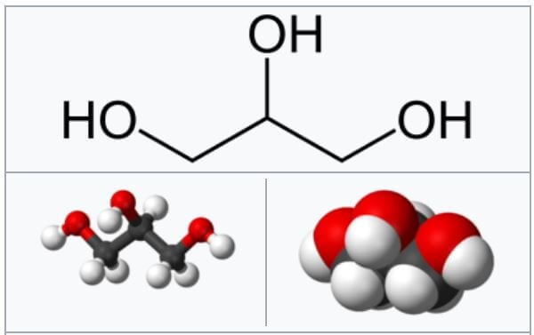 Simple Lipid Structure Diagram