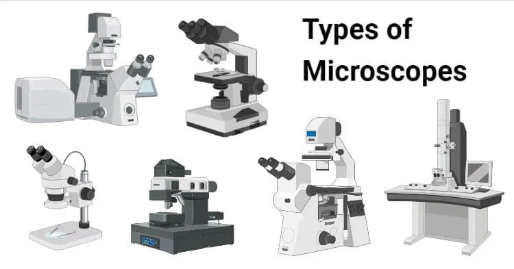 5 Types of Microscopes with Definitions, Principle, Uses, Labeled Diagrams