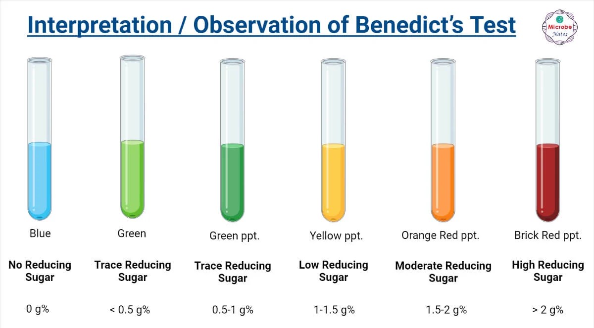 Benedict’s Test Principle, Procedure, Steps, Results, Uses