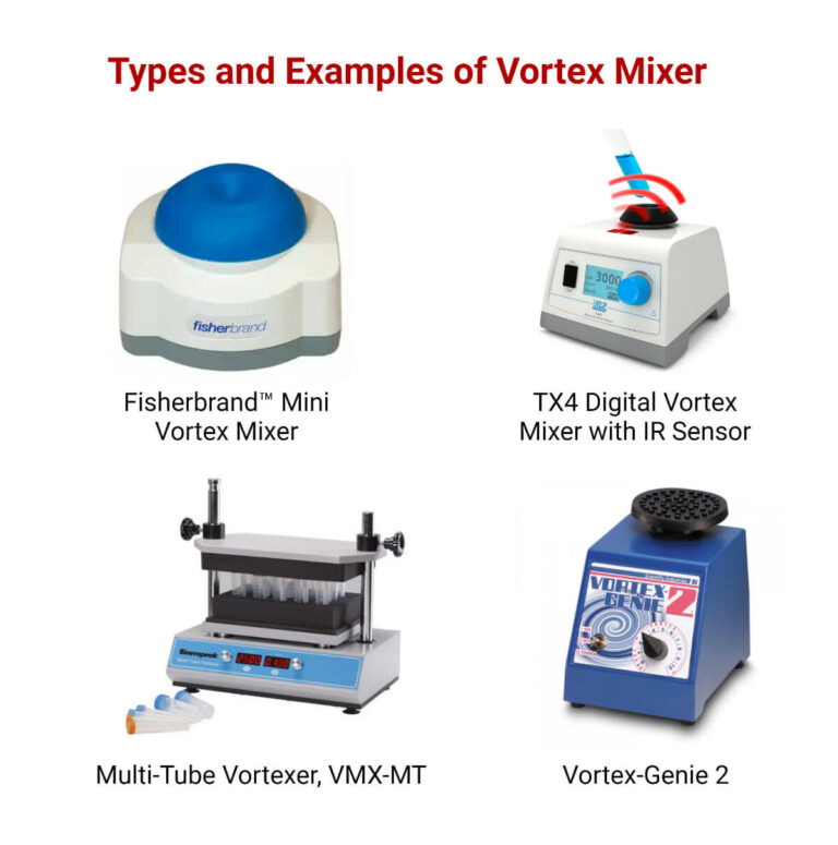 Vortex Mixer Definition, Principle, Parts, Types, Examples, Uses