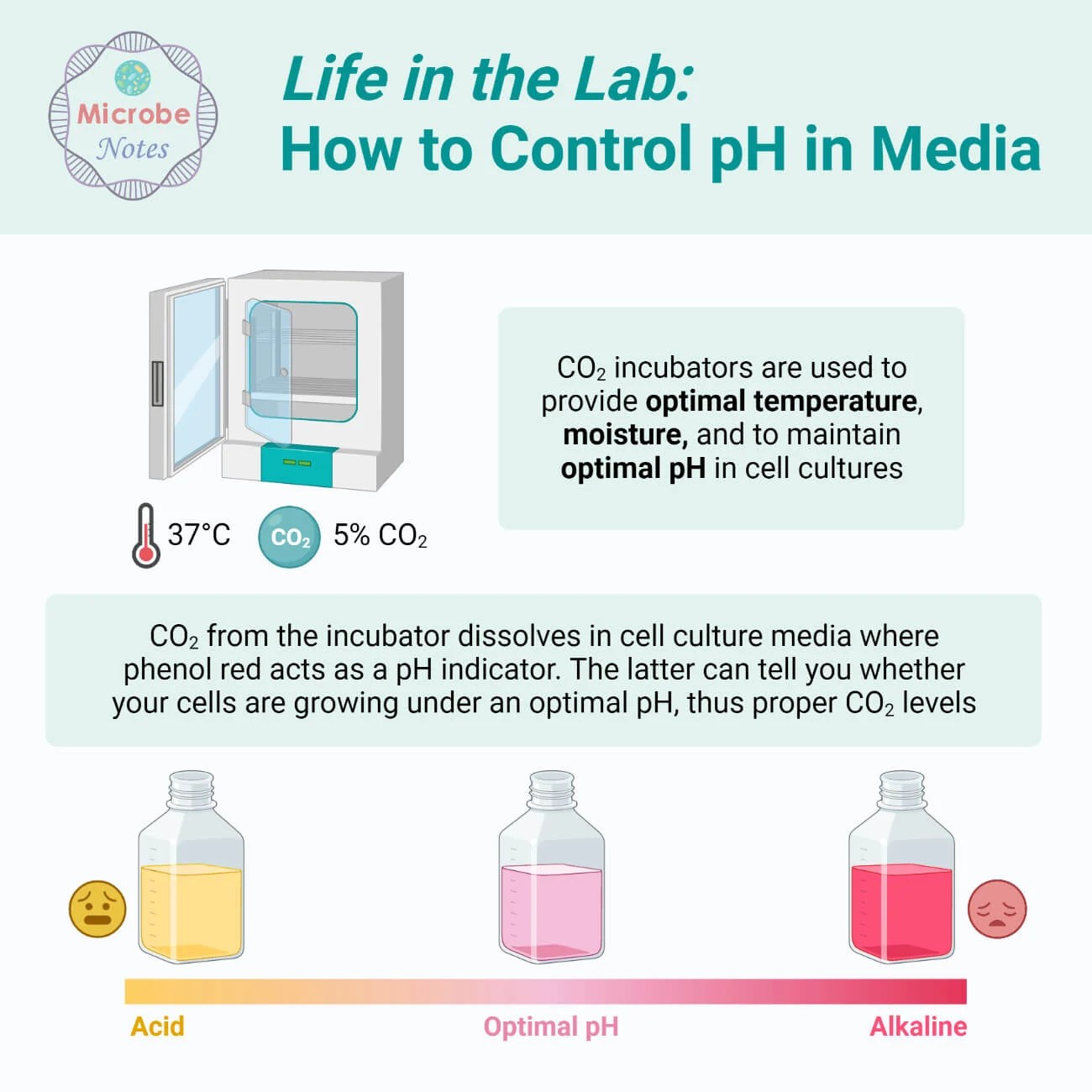 pH Meter Principle, Parts, Procedure, Types, Uses, Examples