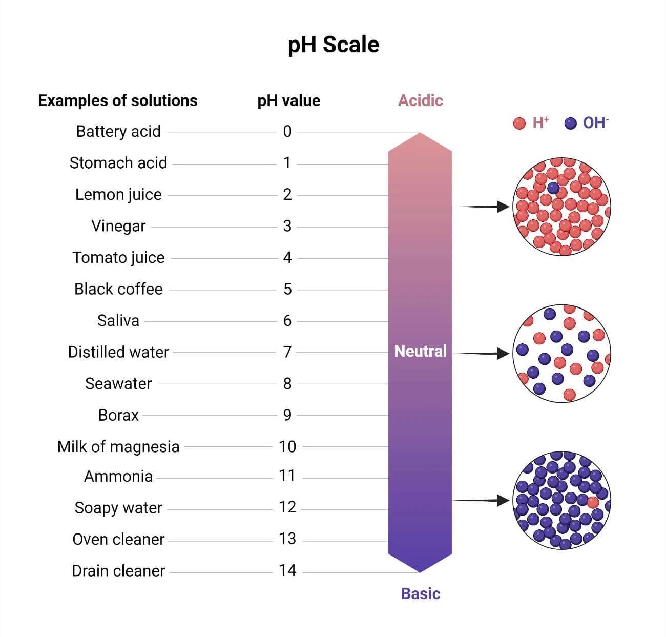 pH Meter Principle, Parts, Procedure, Types, Uses, Examples