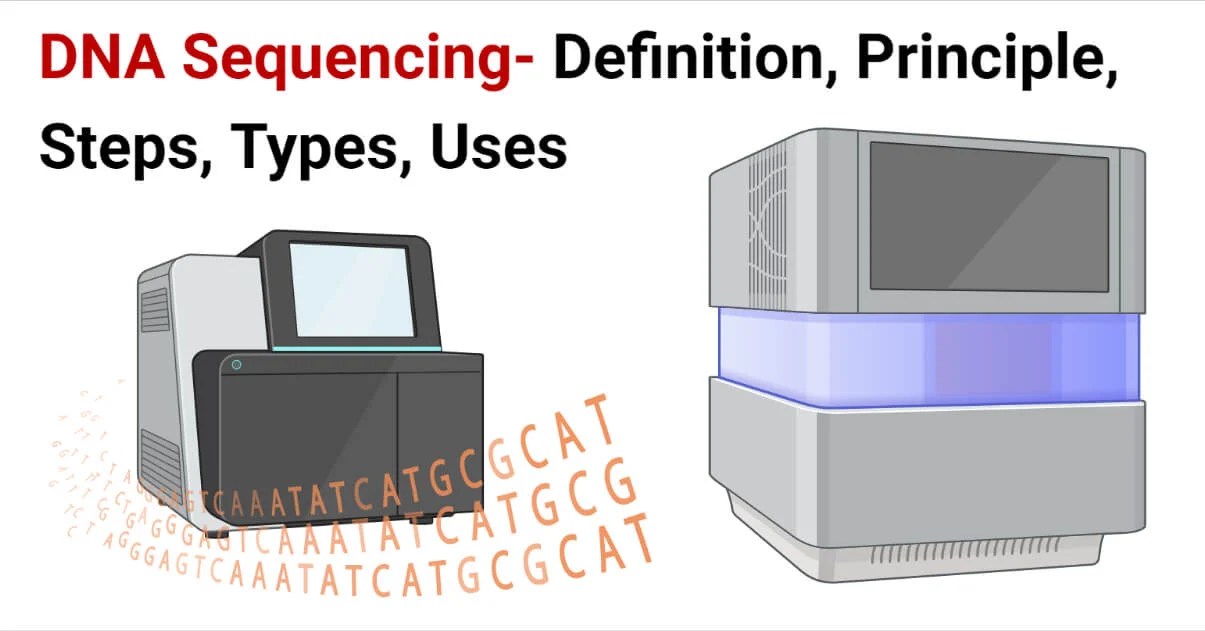 DNA Sequencing Definition, Principle, Steps, Types, Uses, 59 OFF