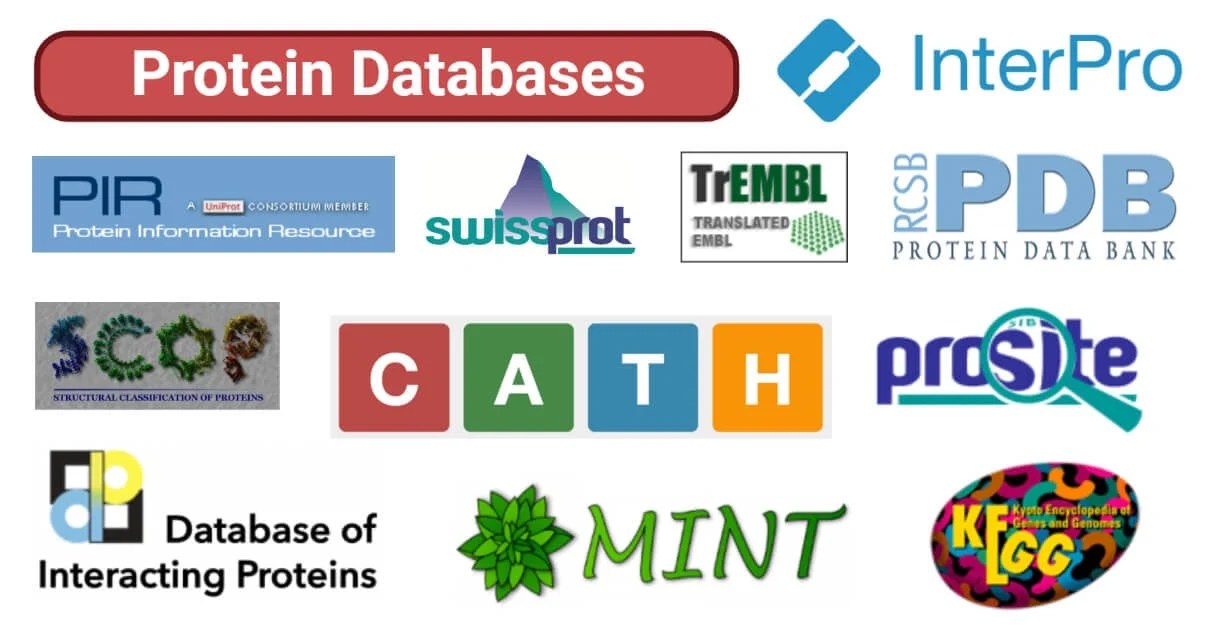 Protein Databases Definition, Types, Examples, Uses