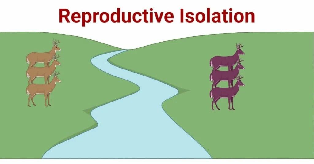 Biology Notes Microbe Notes