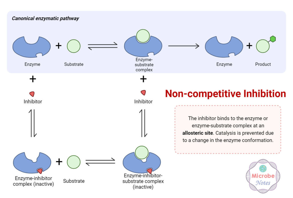 Allosteric Inhibition Mechanism, Cooperativity, Examples