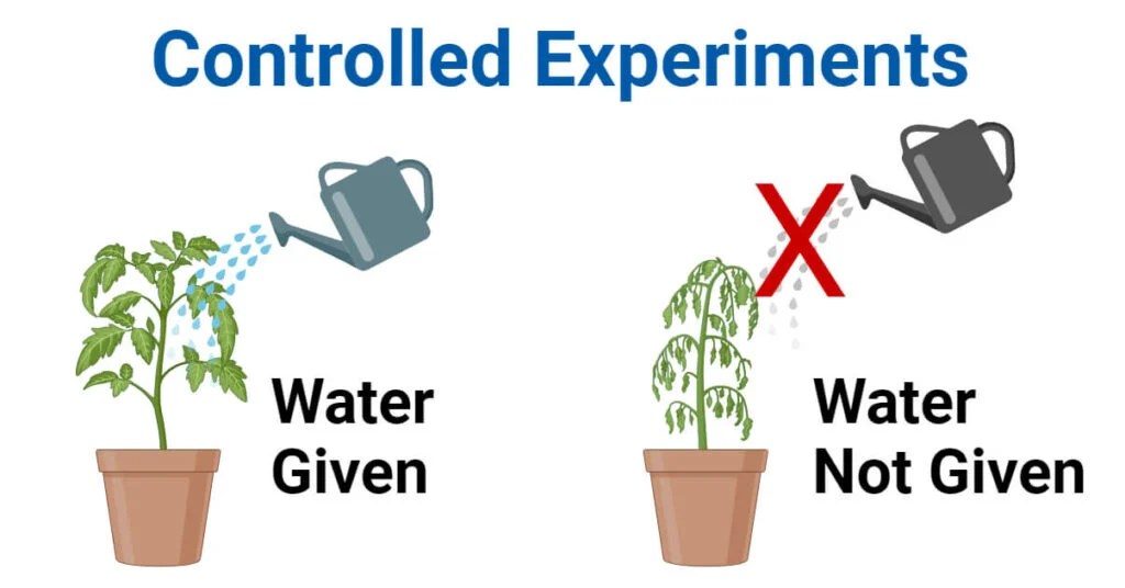 Controlled Experiments Definition, Steps, Results, Uses