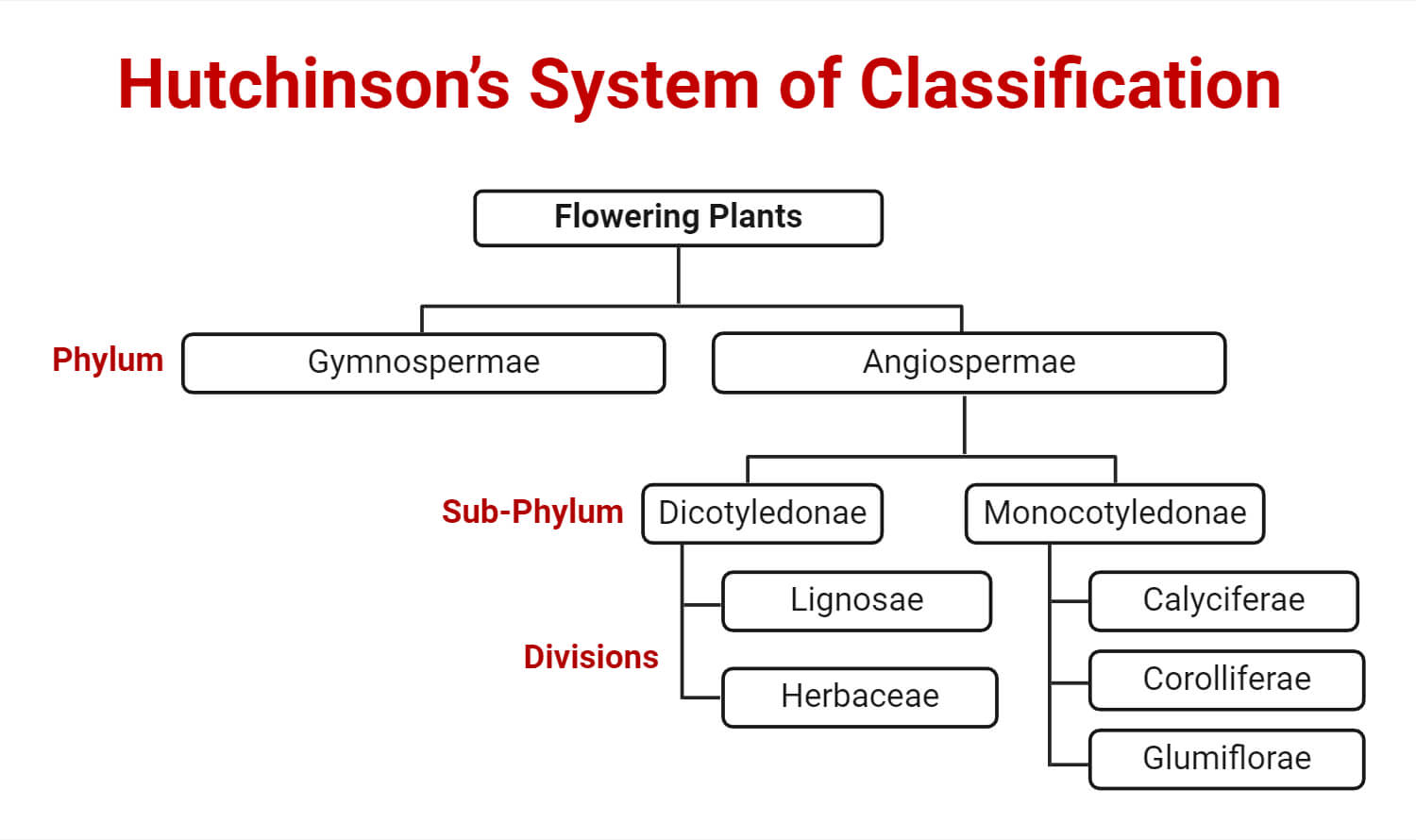 Plant Taxonomy Definition, Terms, Classifications