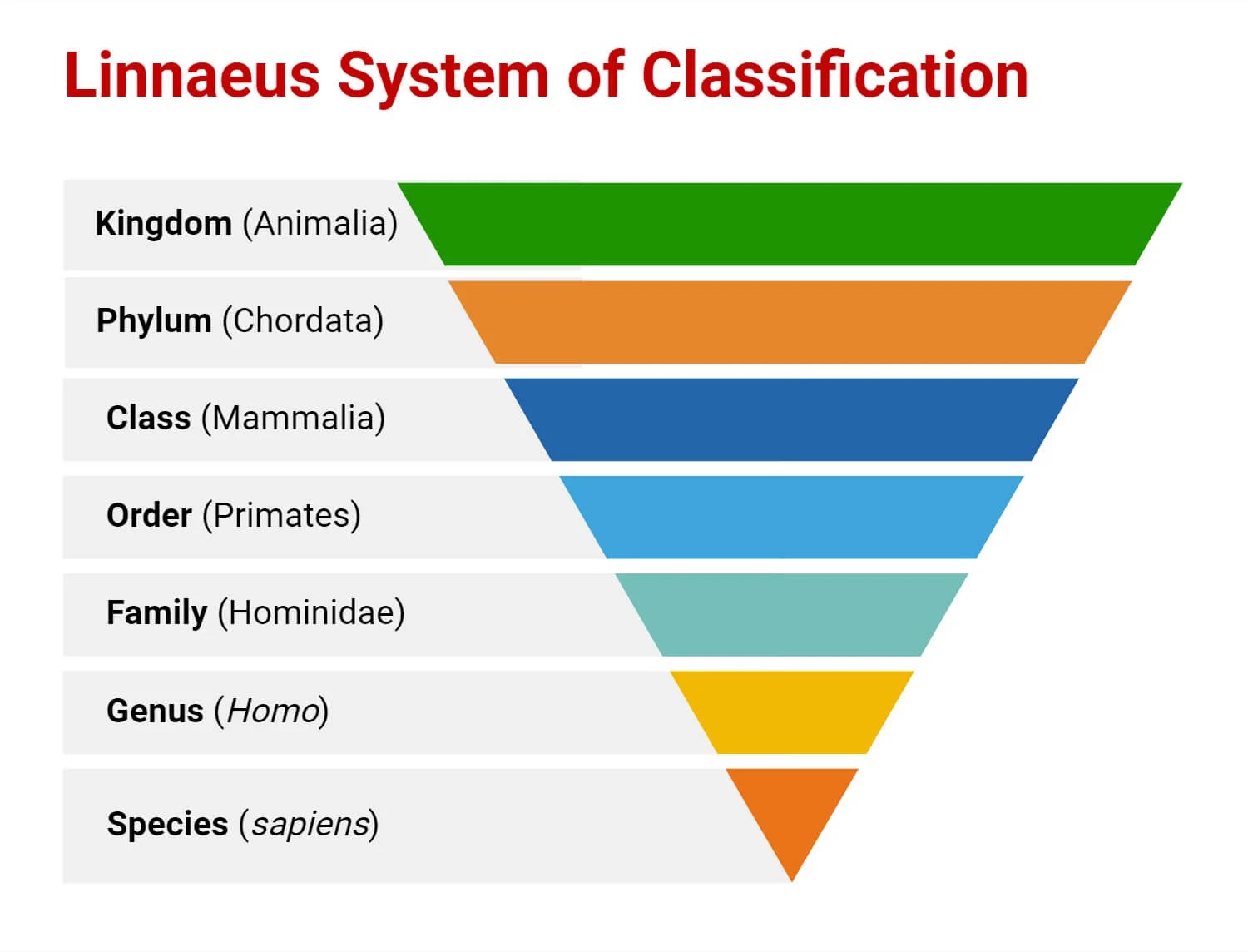Plant Taxonomy Definition, Terms, Classifications