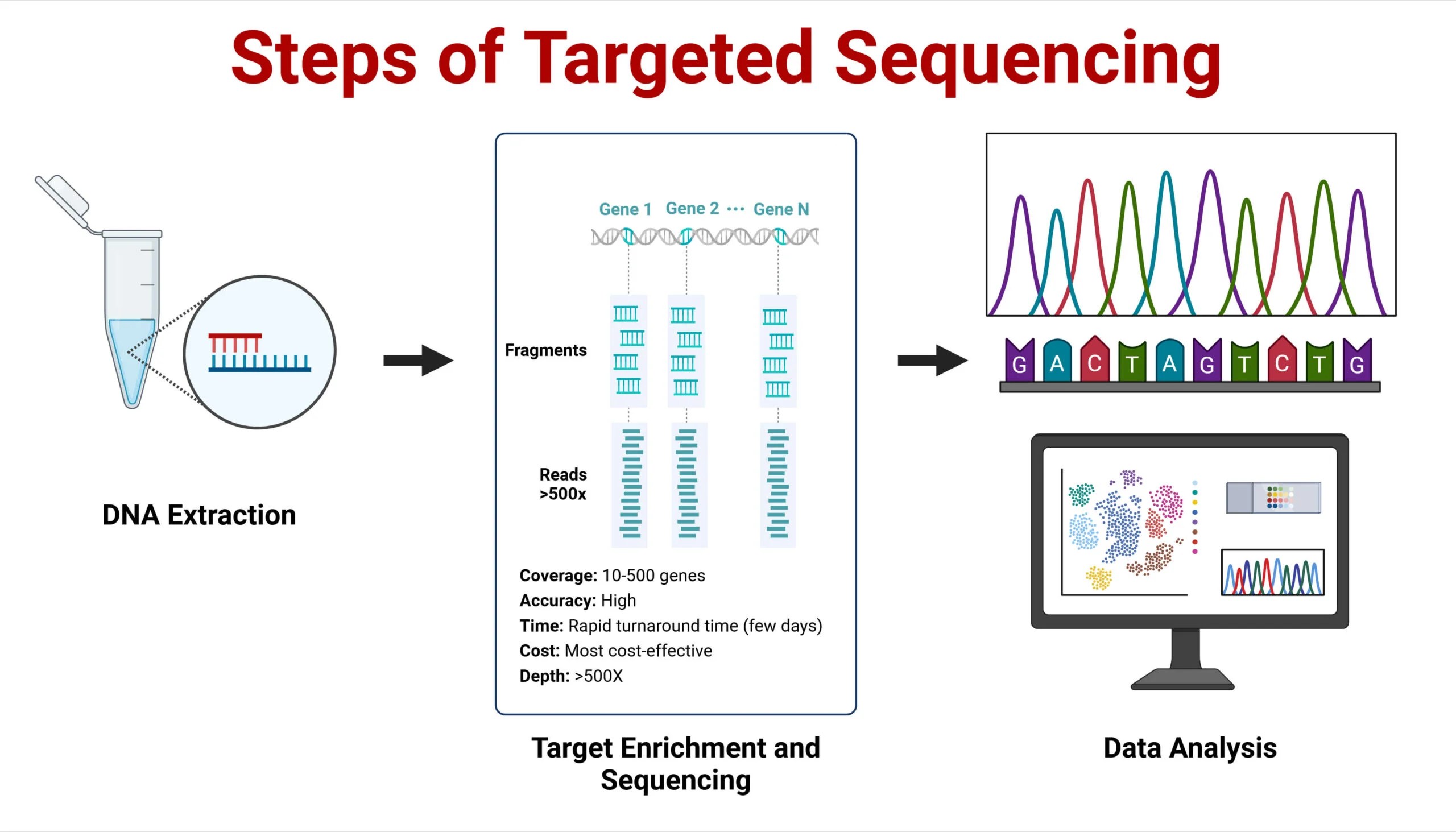 Targeted Sequencing Principle, Steps, Methods, Uses, Diagram