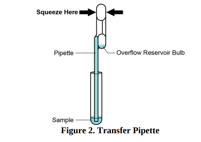 Rapid detection of SARSCoV2 Diagnosis of COVID19 Microbe Online