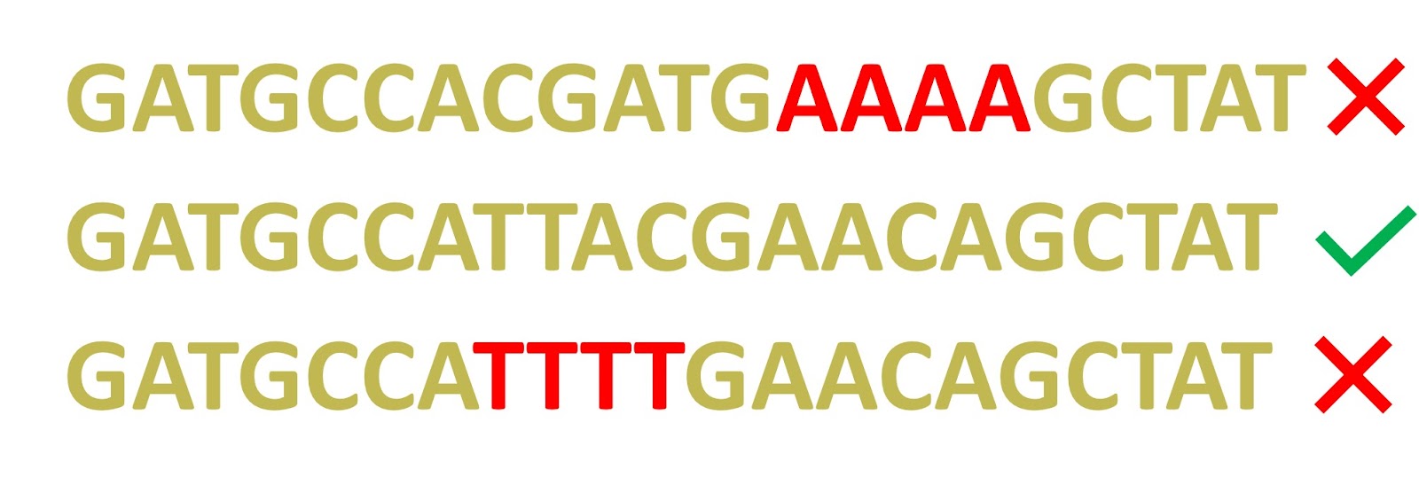 Designing PCR Primers 6 Useful Tips Microbe Online
