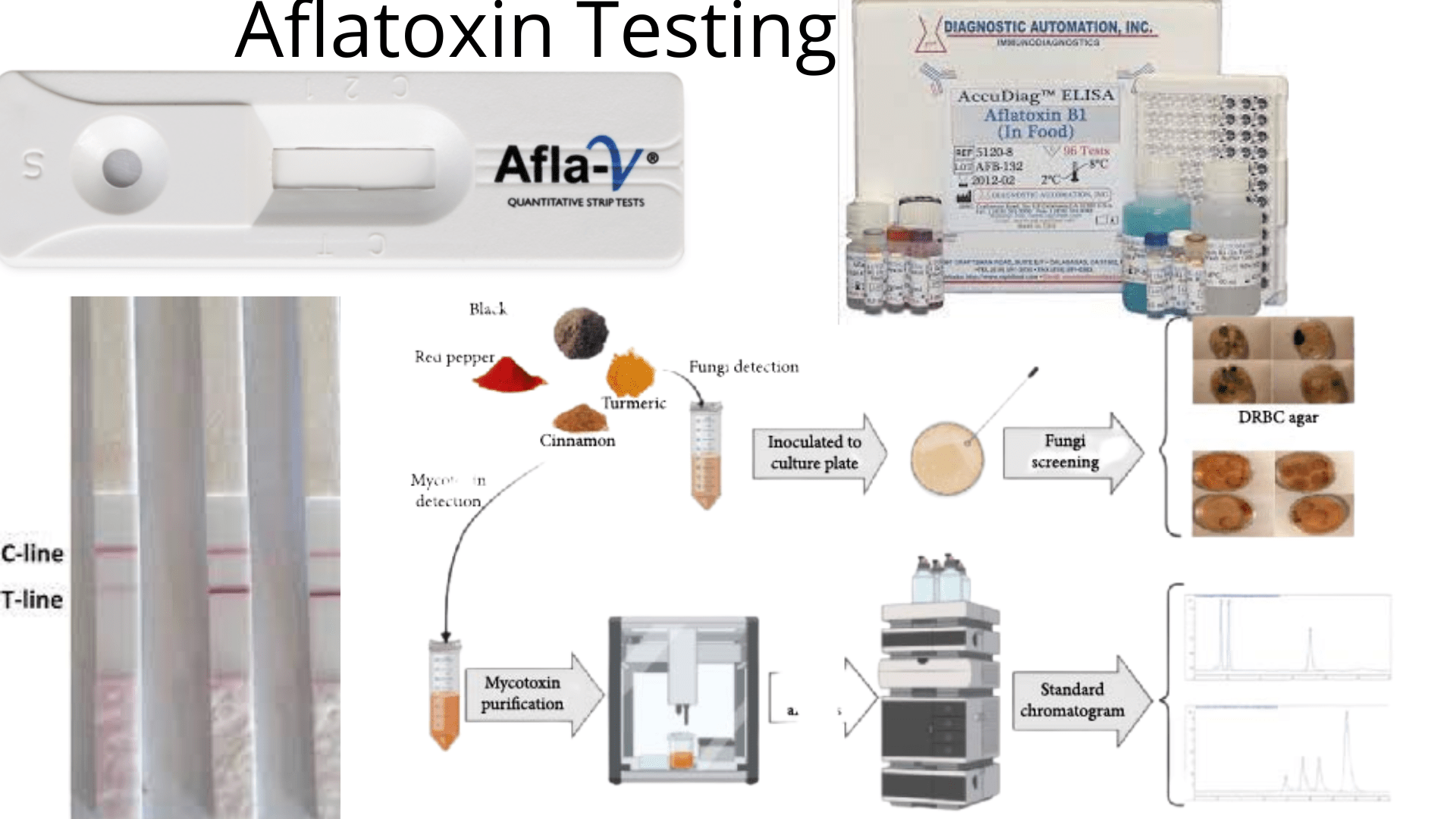 Aflatoxin Testing Materials and Methods • Microbe Online