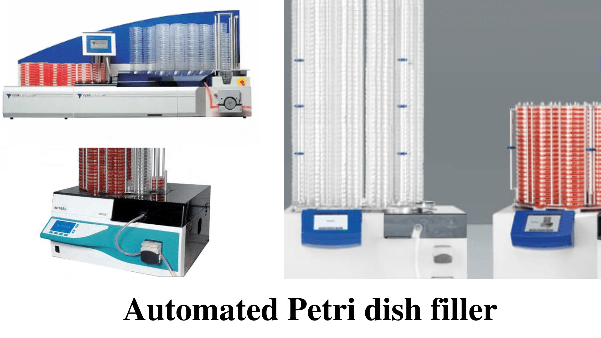 Petri Dish Types, Uses, and Automated Petri Dish Filler Microbe Online