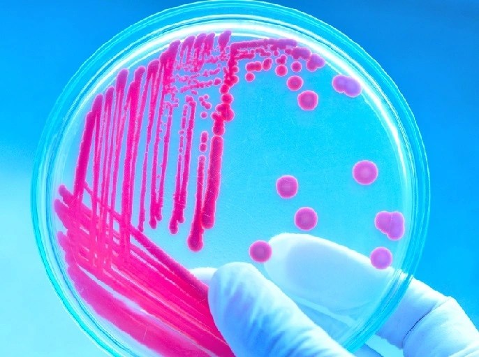 Bacterial growth Physical, and Chemical requirements