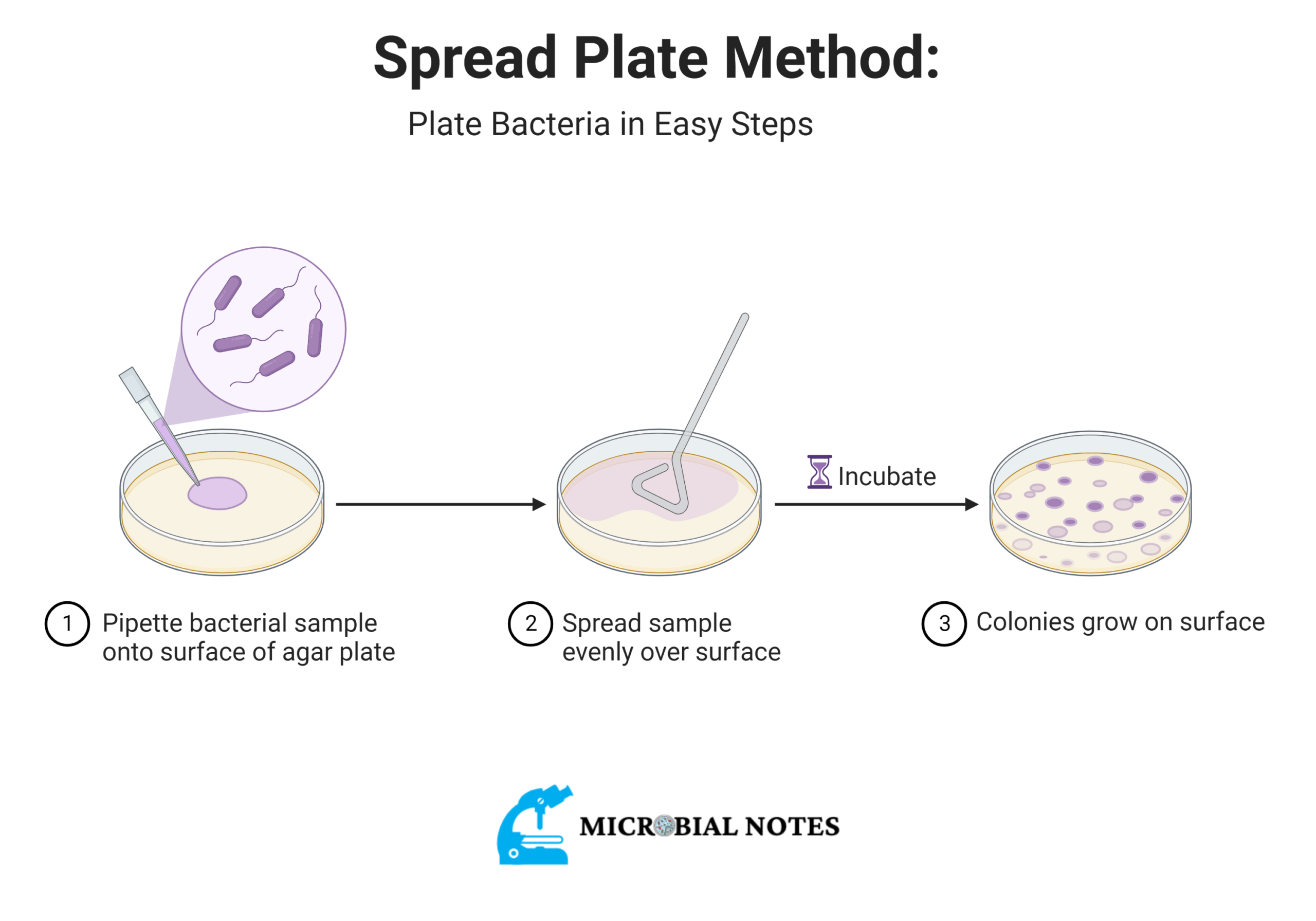 Culturing Techniques Types and Methods Microbial notes