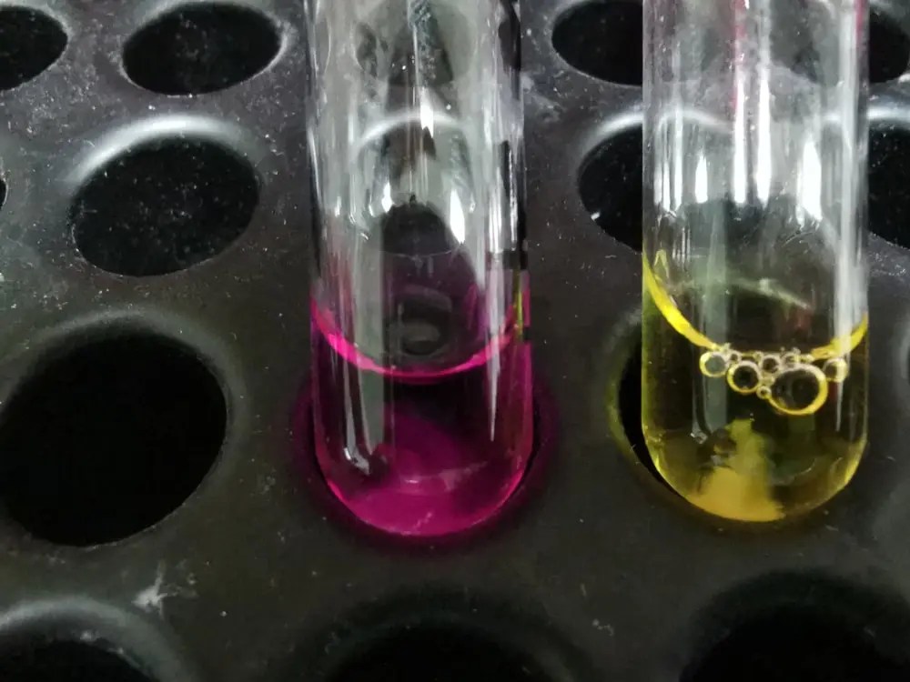 Urease Test Principle, Methodology, and Limitations