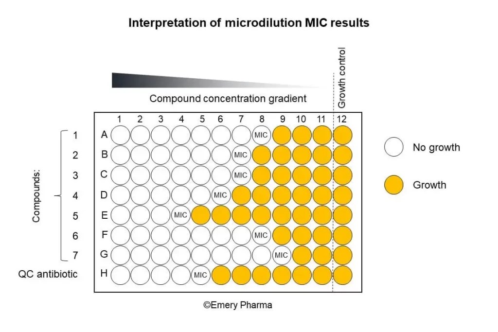 What is Minimum inhibitory concentration (MIC) An Overview
