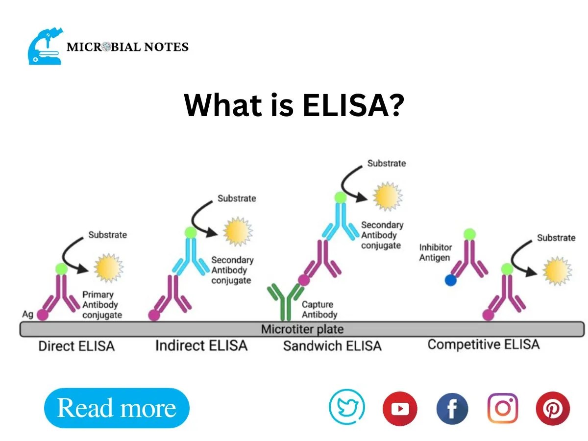 Indirect Elisa Test DevKit ELISA Development Kit Guide LSBio
