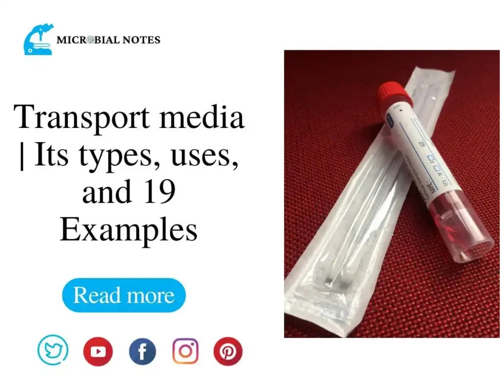 Transport media Its types, uses, with 19 Examples