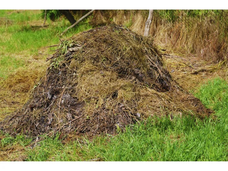 Best Practices for Using Bacterial Products in Composting and Vault Toilets