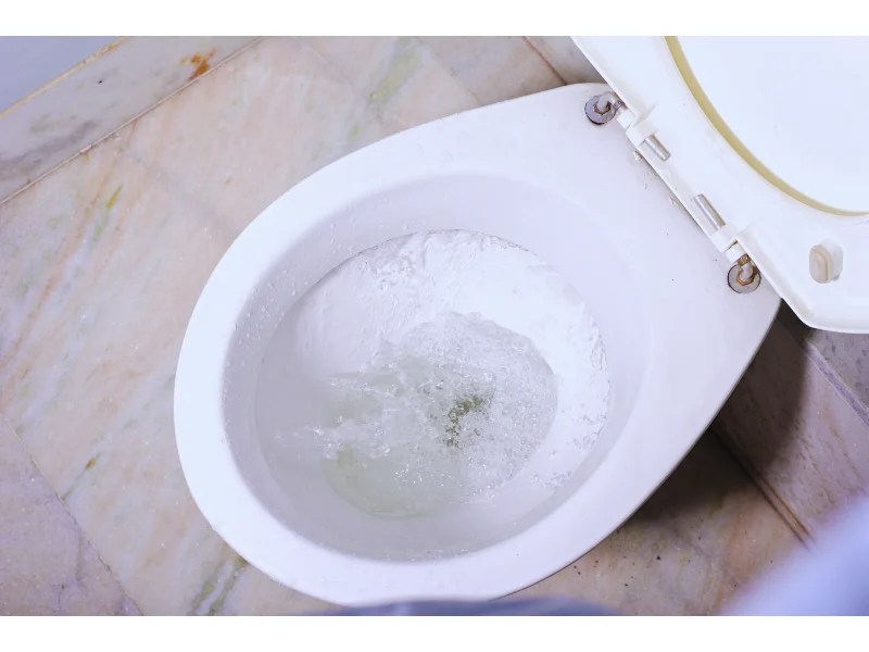 EcoFriendly Solutions for Odor Control in Remote Toilets A Complete Guide
