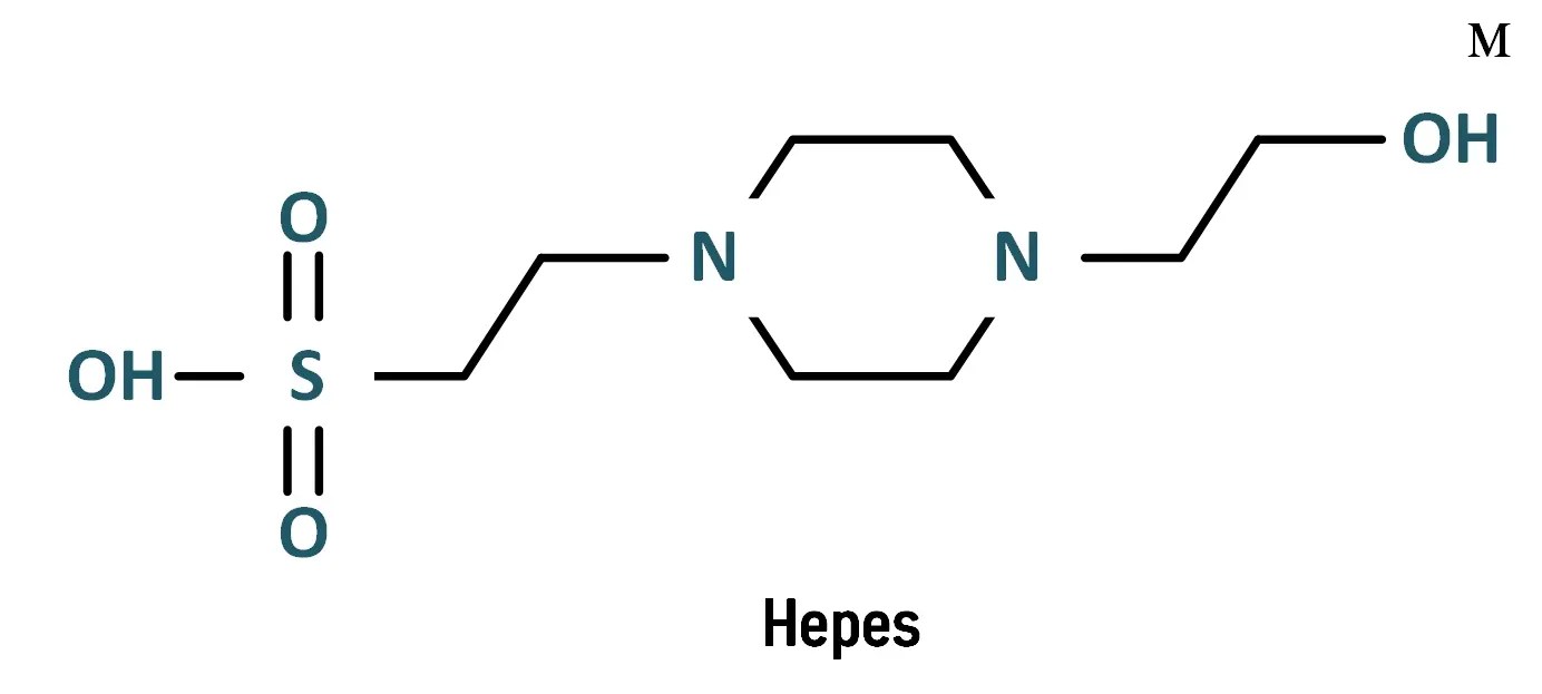 HEPES buffer