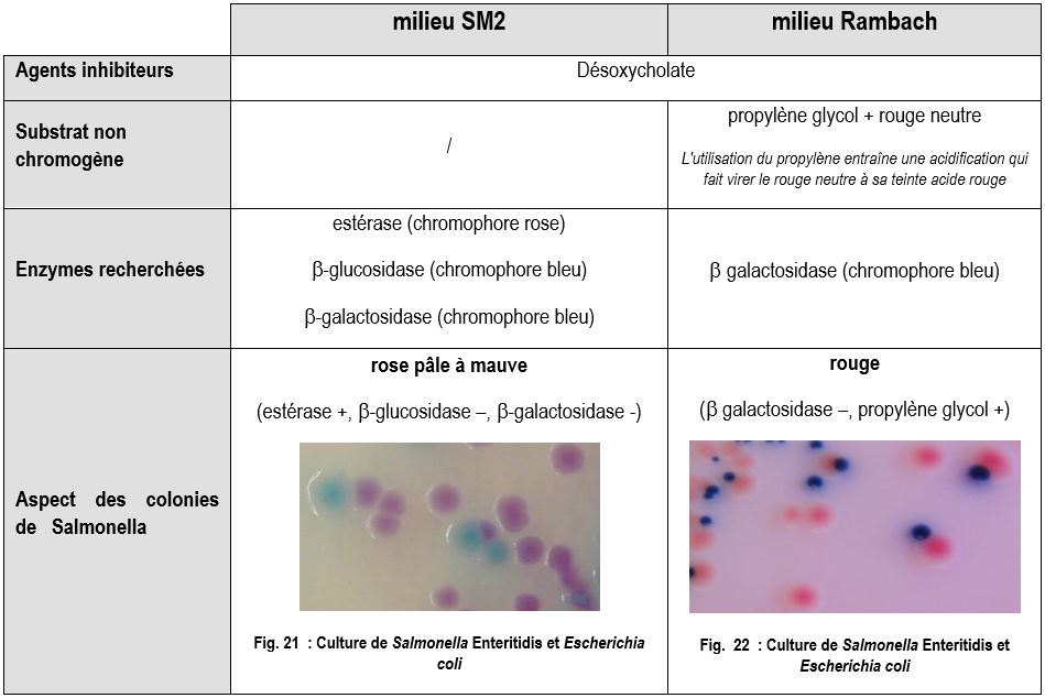 Examen microbiologique des selles microbiologiemedicale.fr
